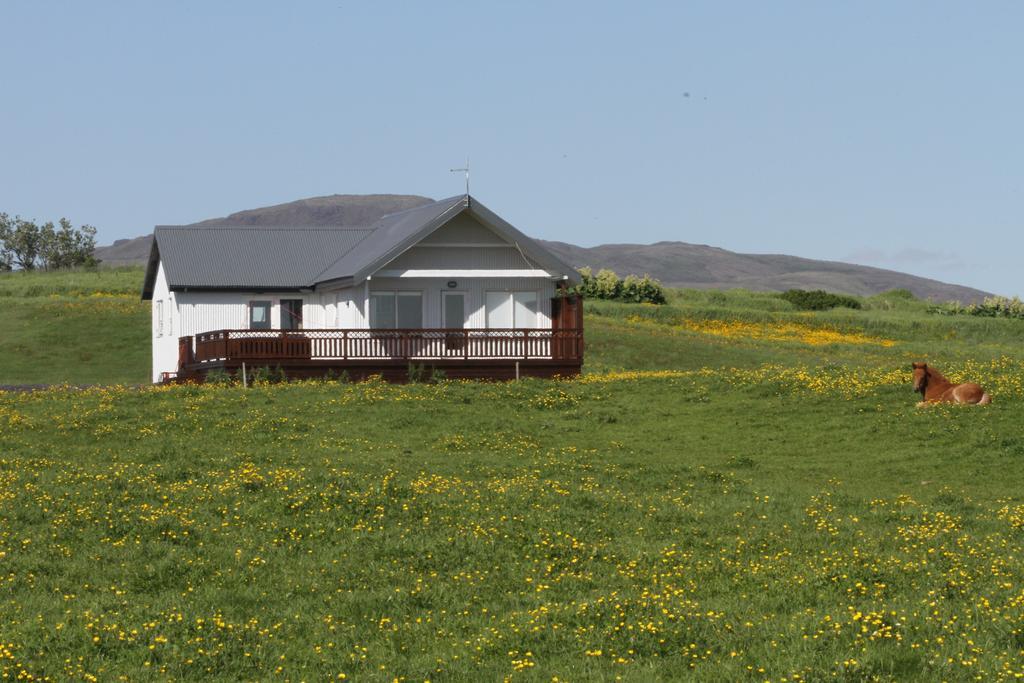 Stryta Guesthouse Hveragerdi Exterior photo